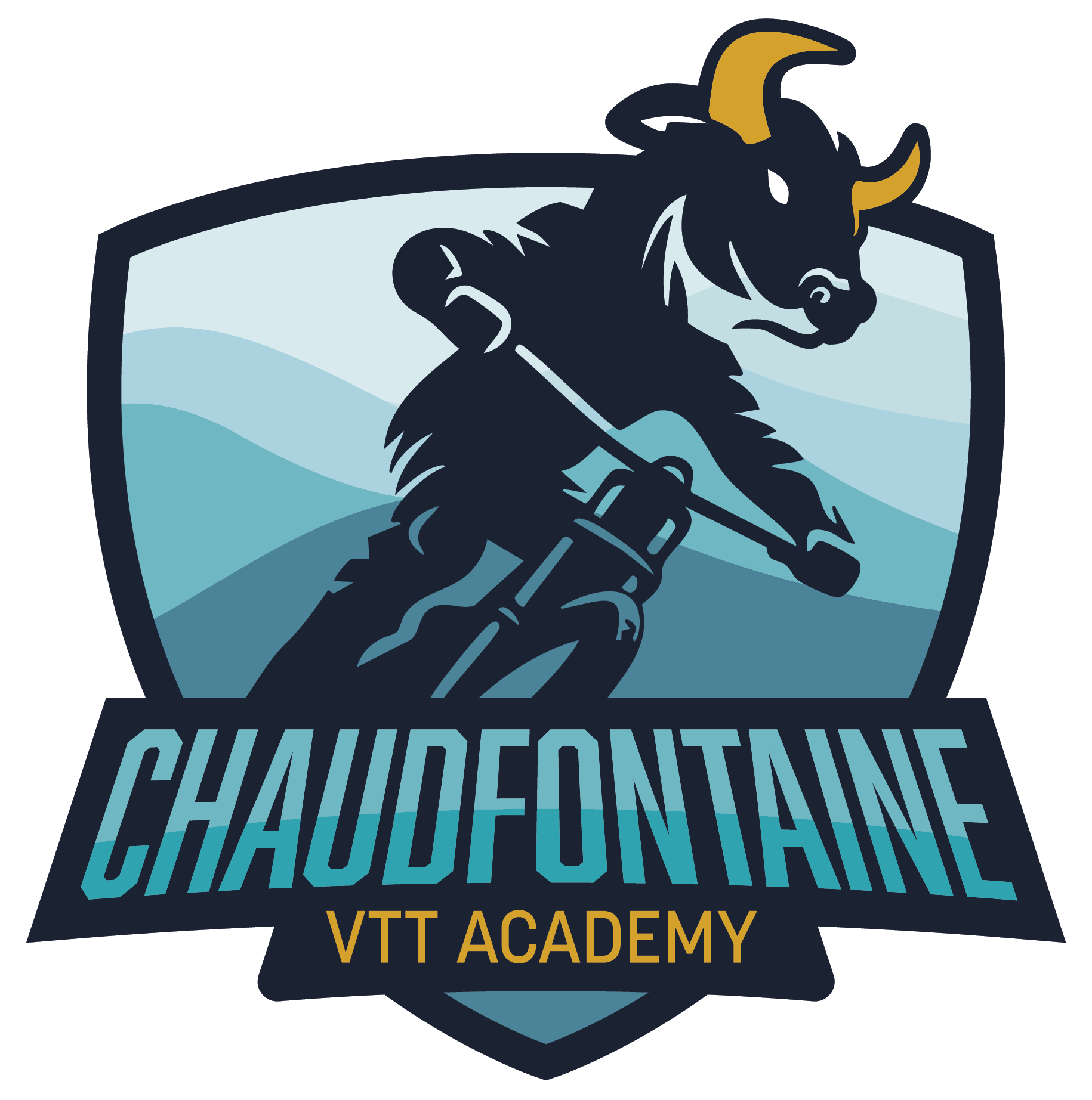 8048-001-CHAUDFONTAINE-VTT_ACADEMY_LOGO-RVB